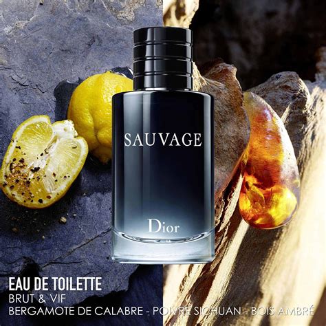 dior sauvage eau de toilette parfumo|dior sauvage the perfume shop.